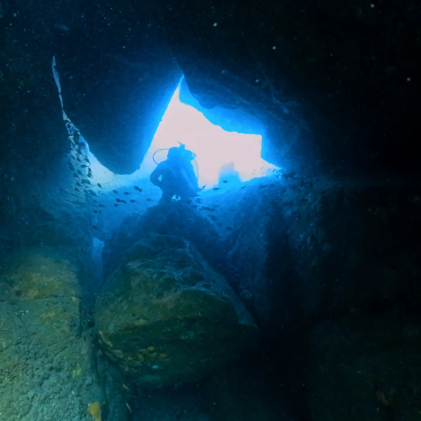 月曜日と火曜日は一泊二日で😊田辺天神崎でのアドバンスコース🏊...