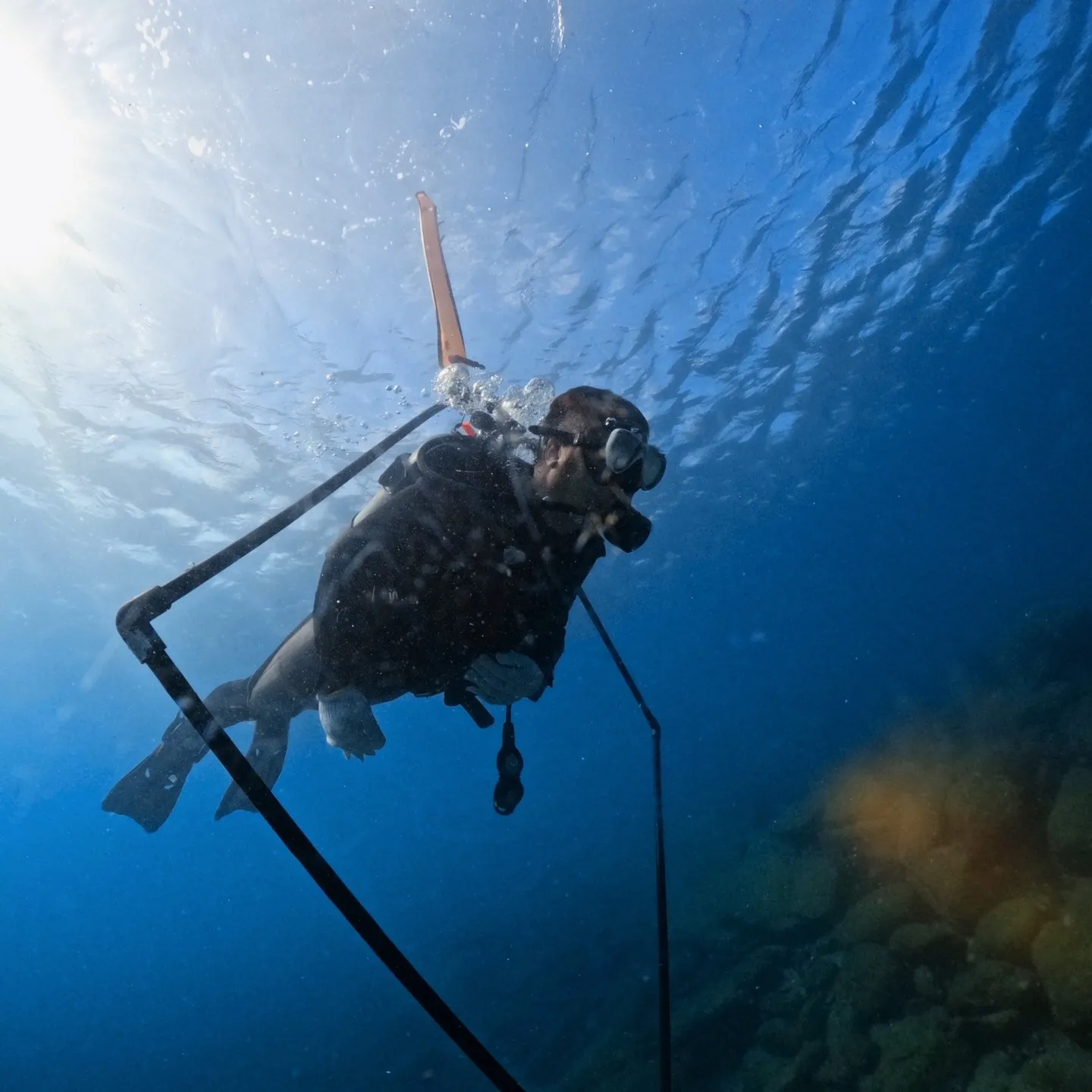 約一週間ほとんど田辺にいました一泊二日AOWコース、一泊二日...