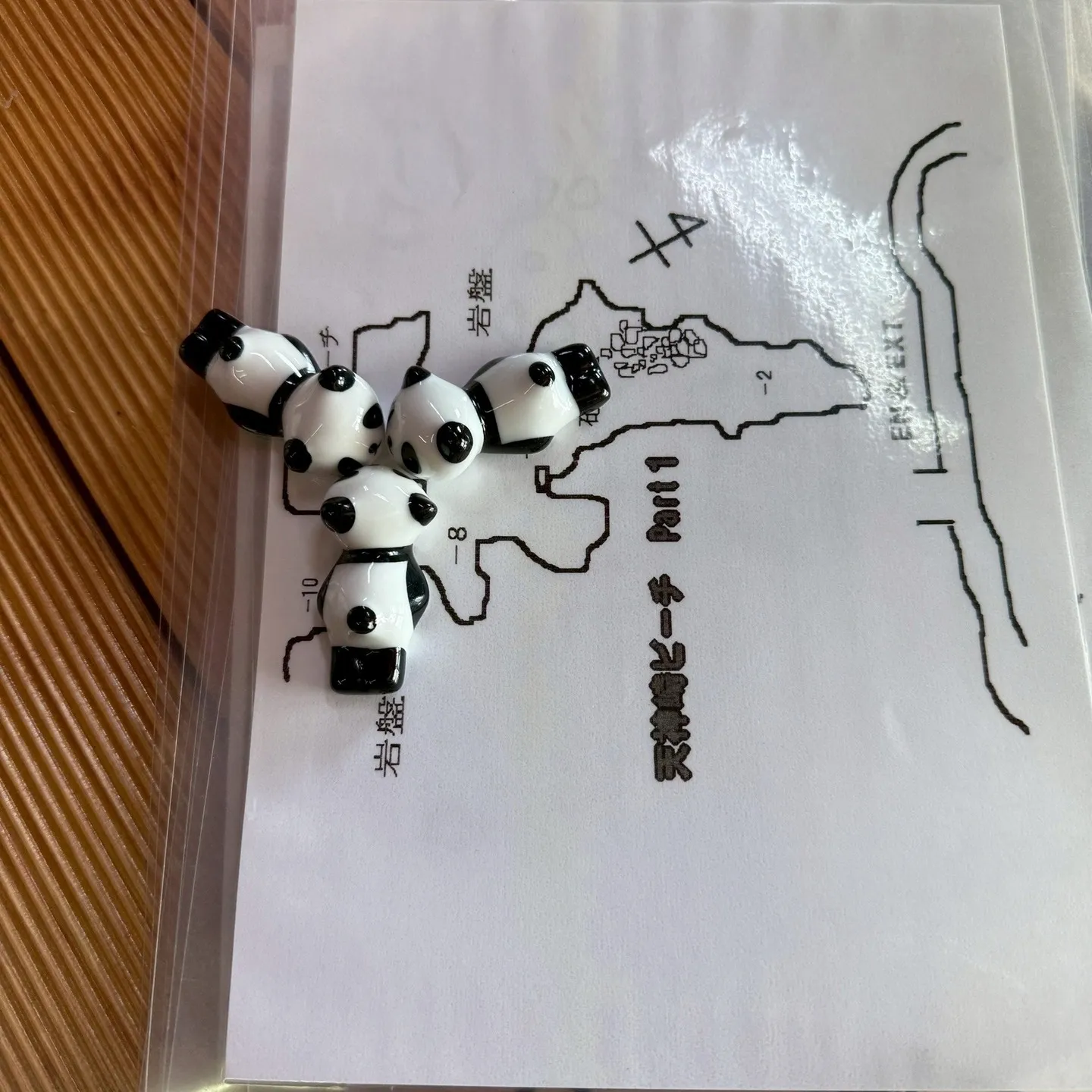 約一週間ほとんど田辺にいました一泊二日AOWコース、一泊二日...