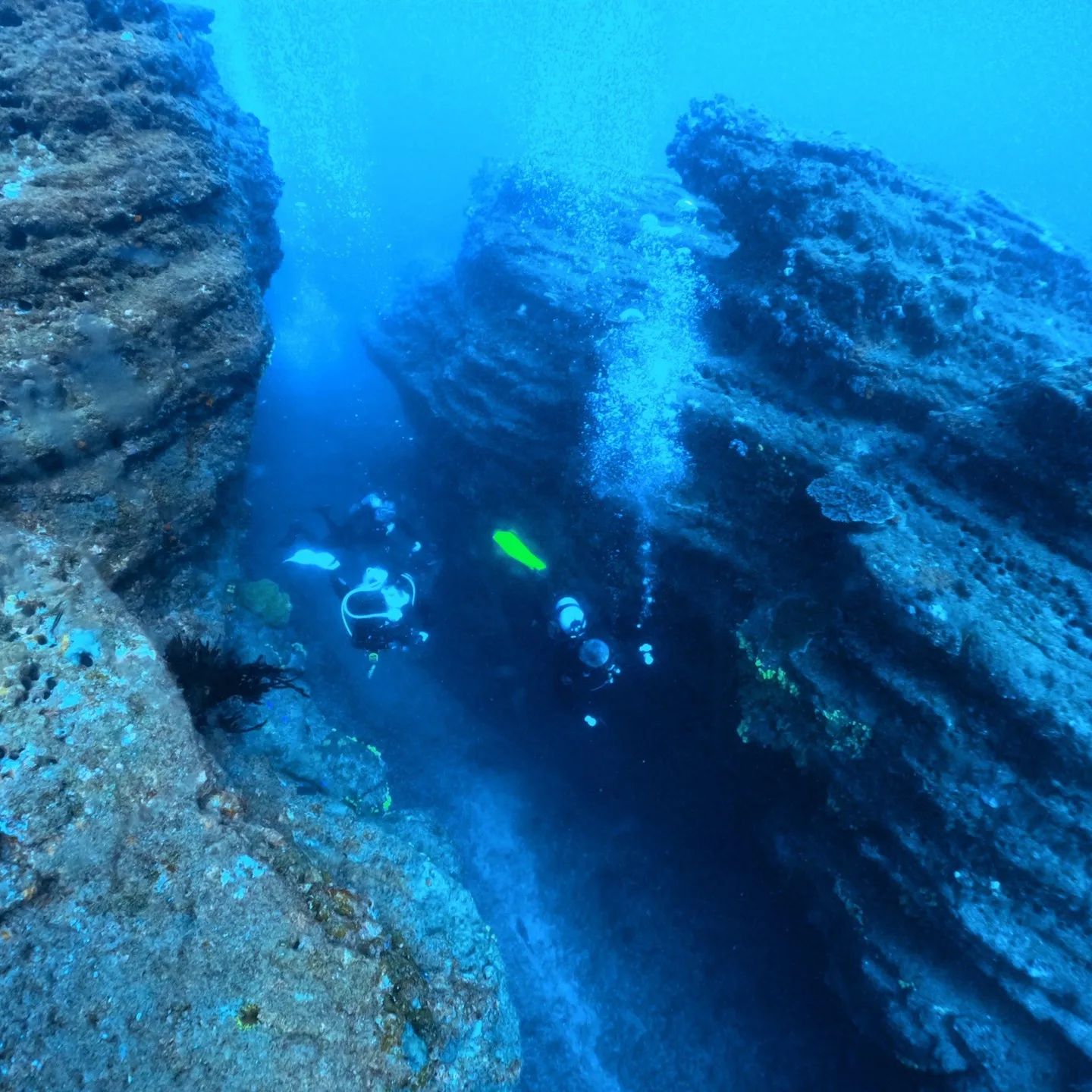 約一週間ほとんど田辺にいました一泊二日AOWコース、一泊二日...