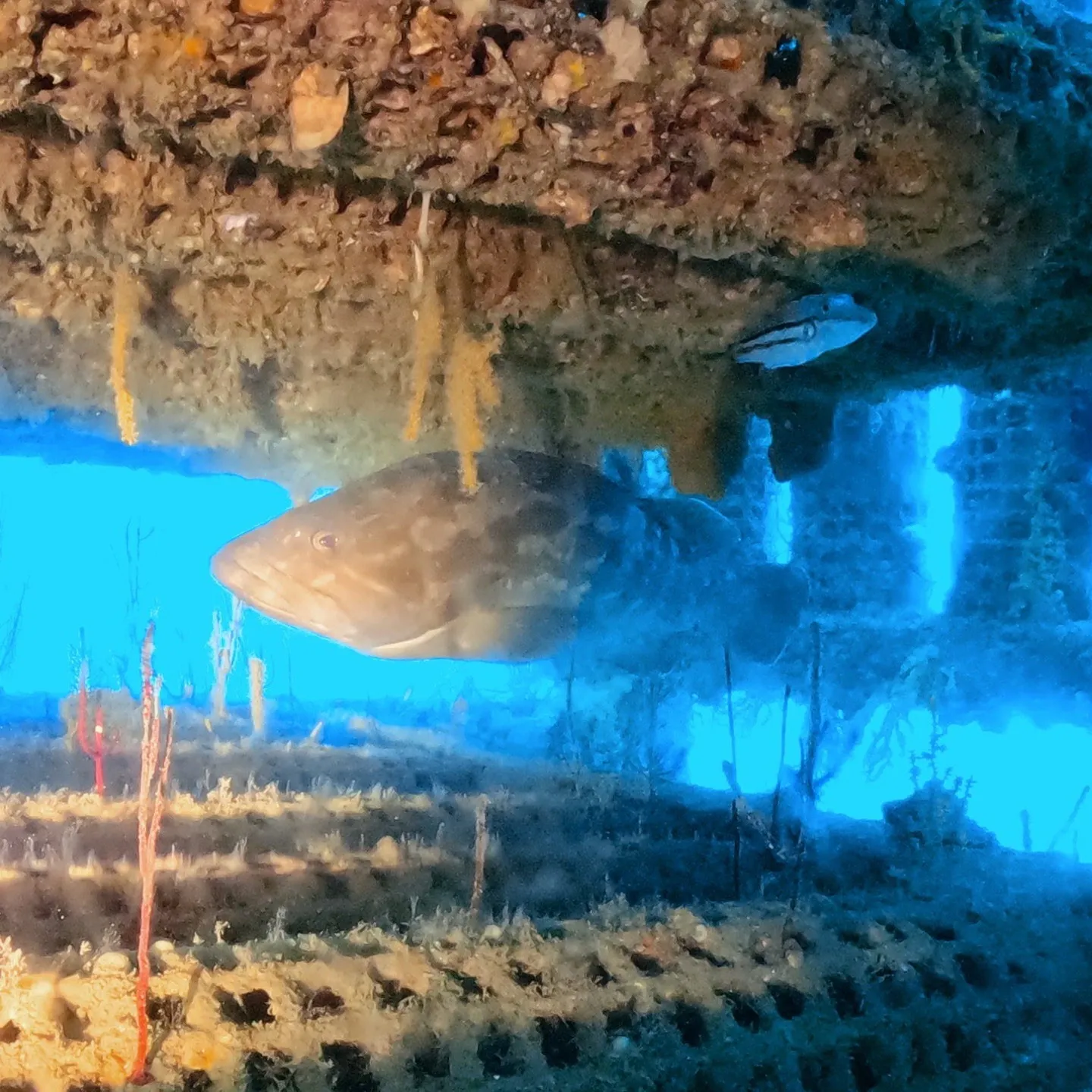 約一週間ほとんど田辺にいました一泊二日AOWコース、一泊二日...