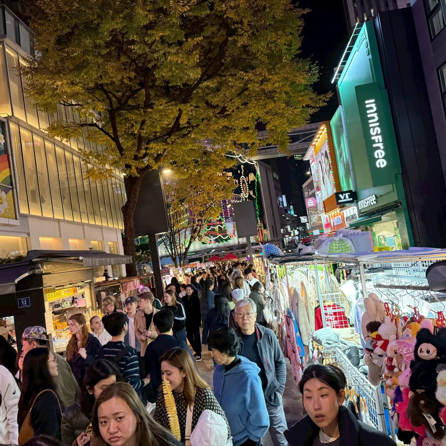 土曜日は韓国のPARADIVEにてフリーダイビング講習🤽‍♀...