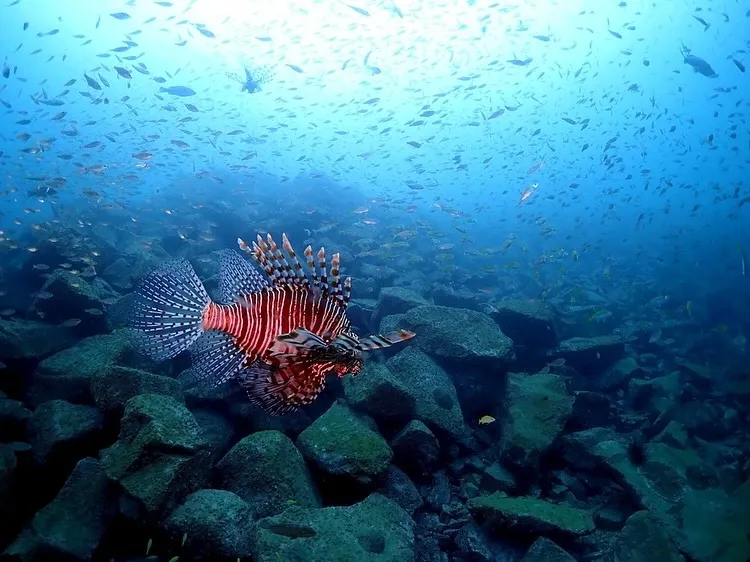 2025.11.13須江:内浦ビーチ