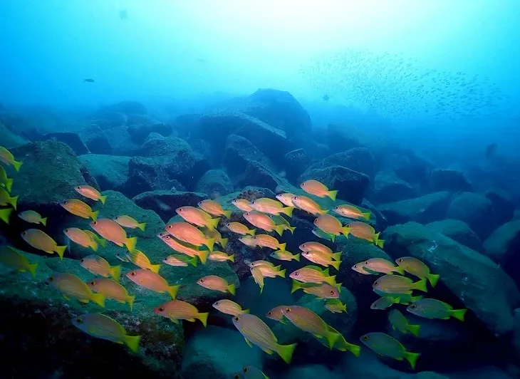 2025.11.13須江:内浦ビーチ