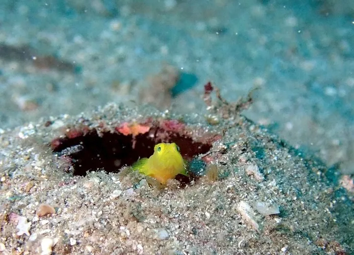 2025.11.13須江:内浦ビーチ