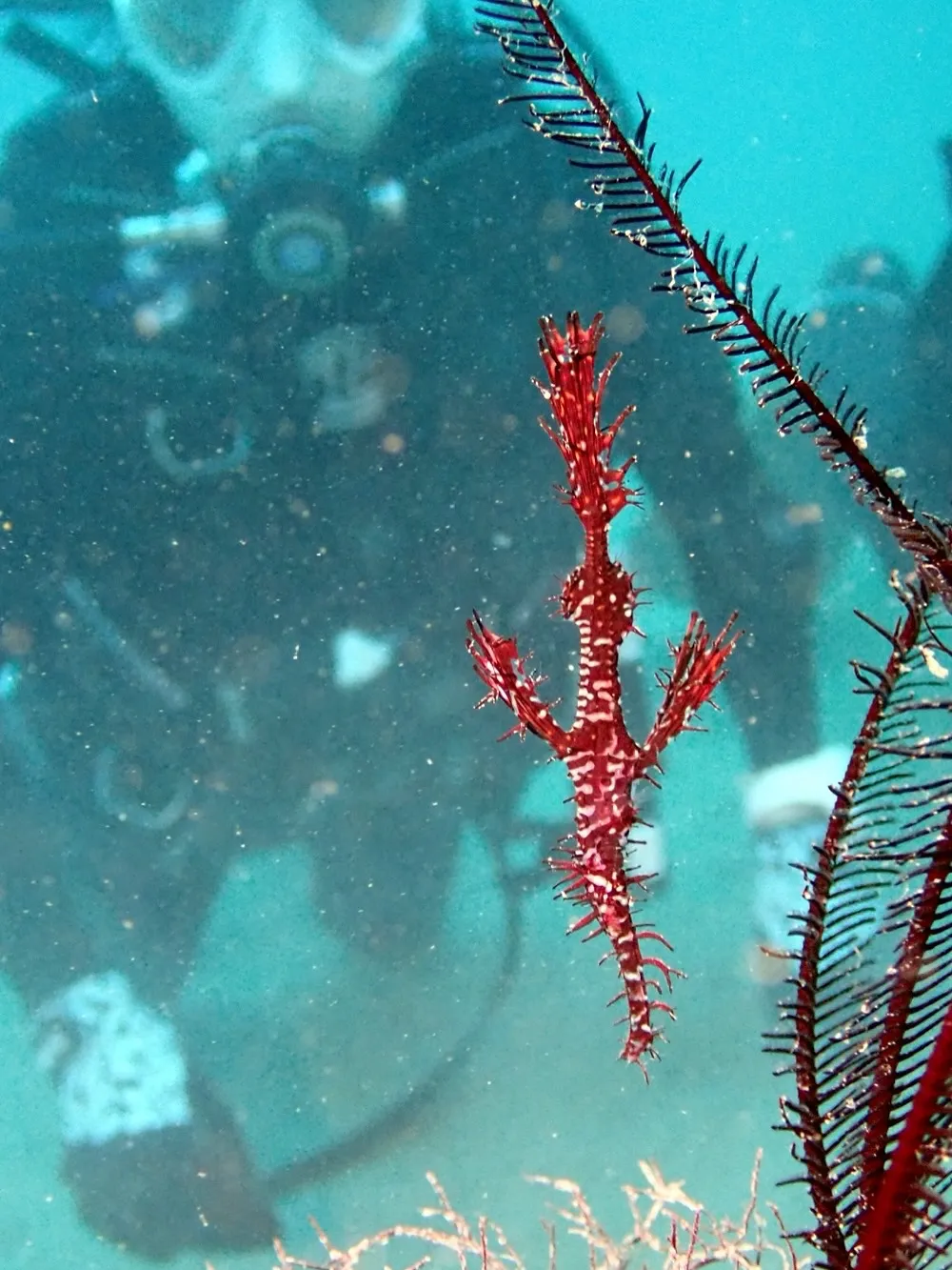 2025.11.13須江:内浦ビーチ