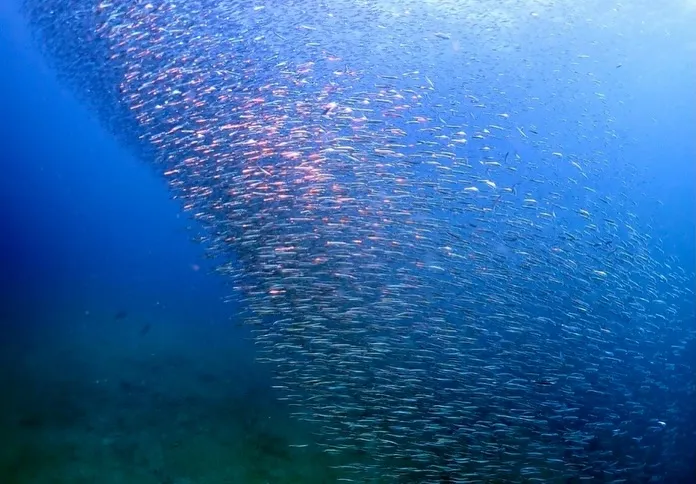 2025.11.22田辺ボート