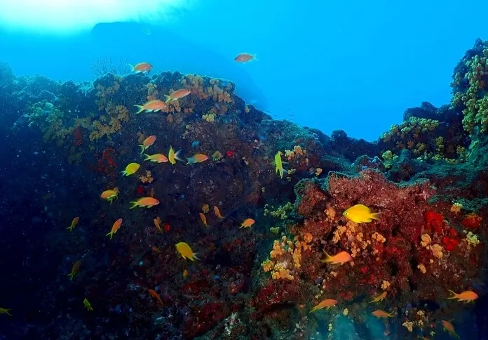 2025.11.22田辺ボート