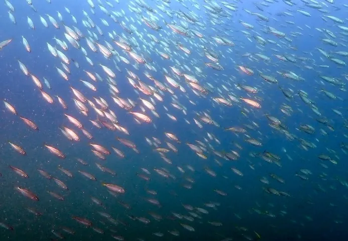 2025.11.22田辺ボート