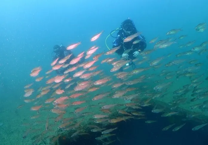 2025.11.22田辺ボート