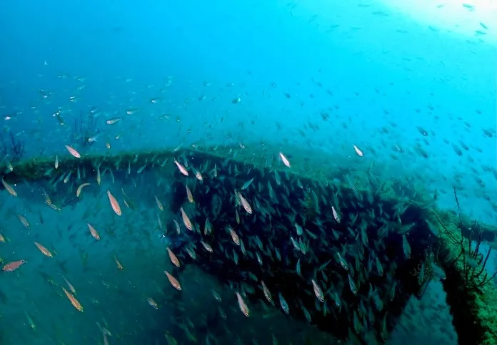 2025.11.22田辺ボート