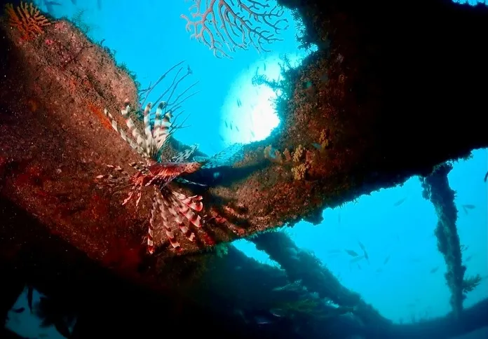 2025.11.22田辺ボート