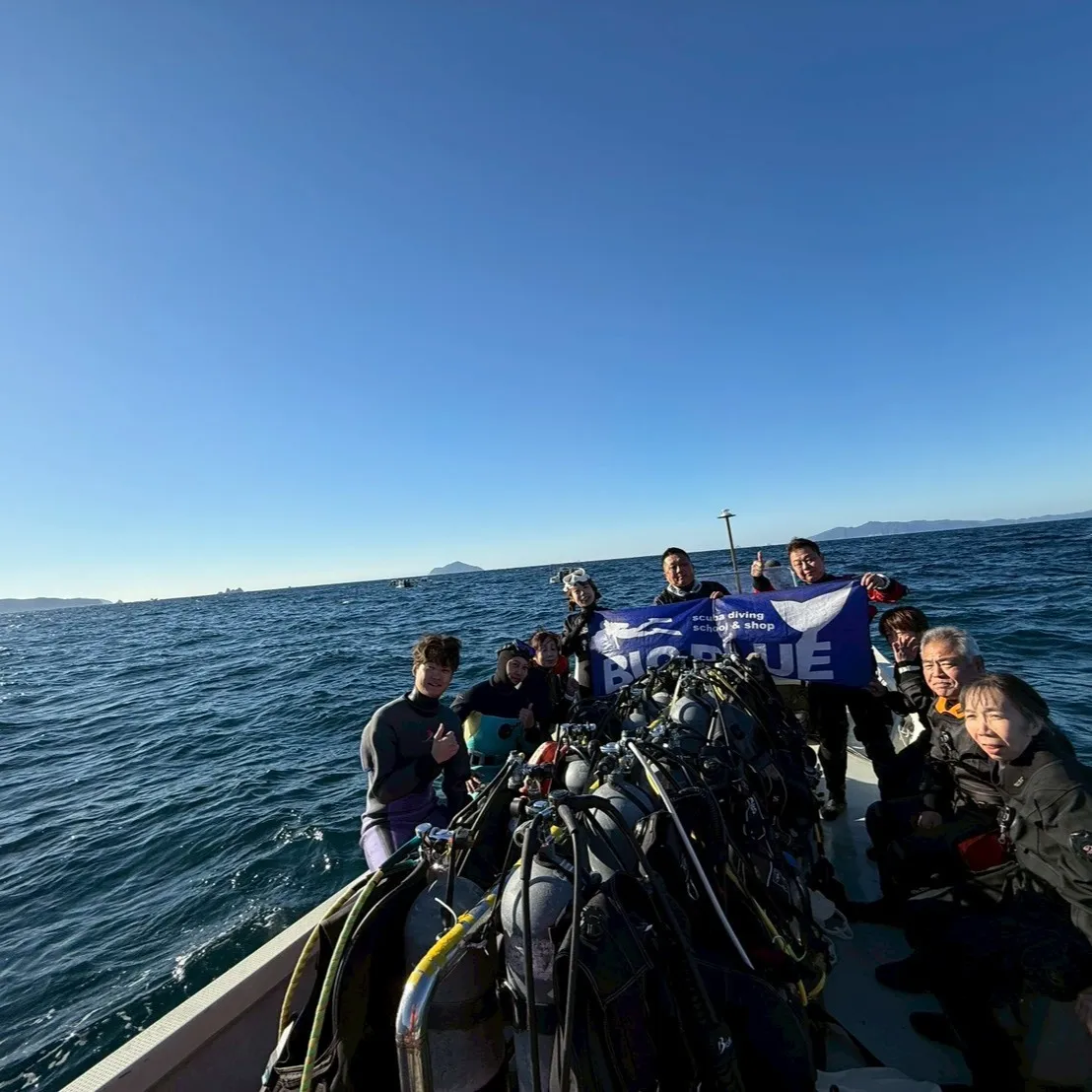 ダイビングツアーで充実体験を得るための選び方と費用のポイント