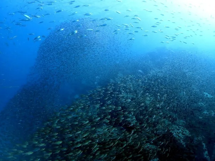 2025.12.14内浦ビーチ