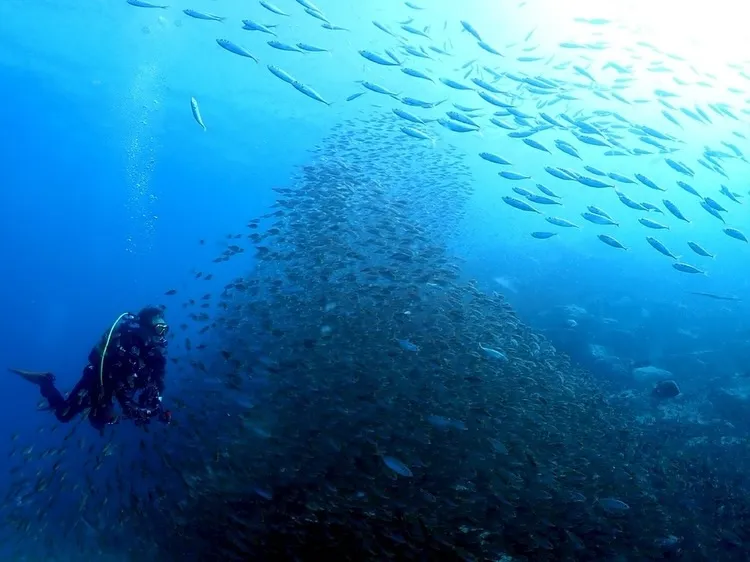 2025.12.14内浦ビーチ