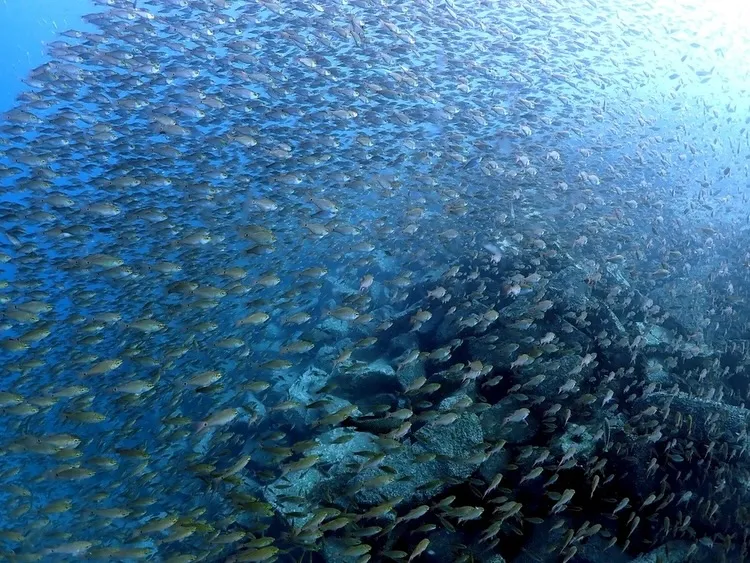 2025.12.14内浦ビーチ