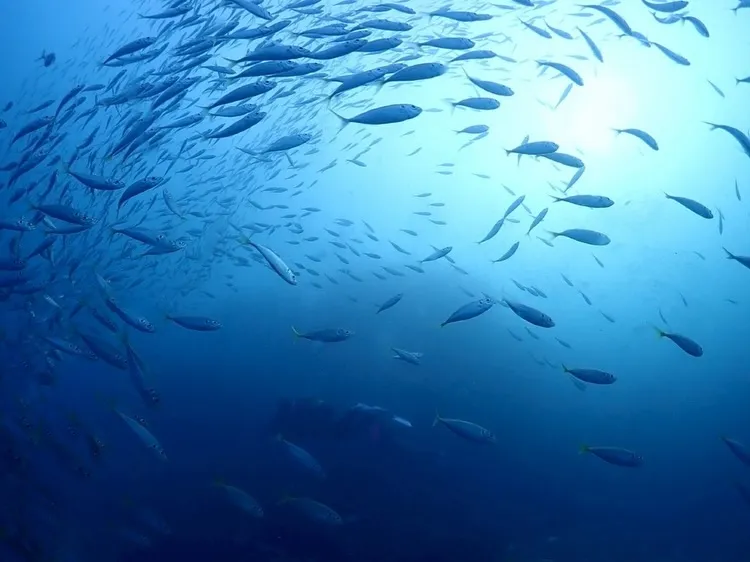 2025.12.14内浦ビーチ