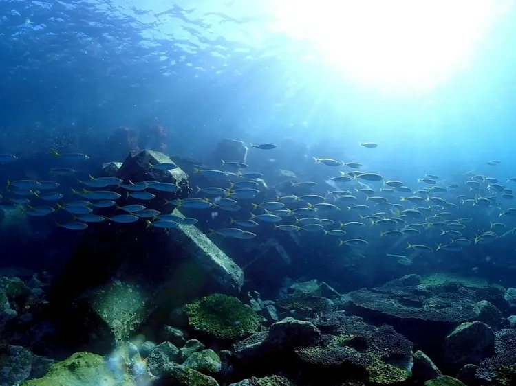 2025.12.14内浦ビーチ