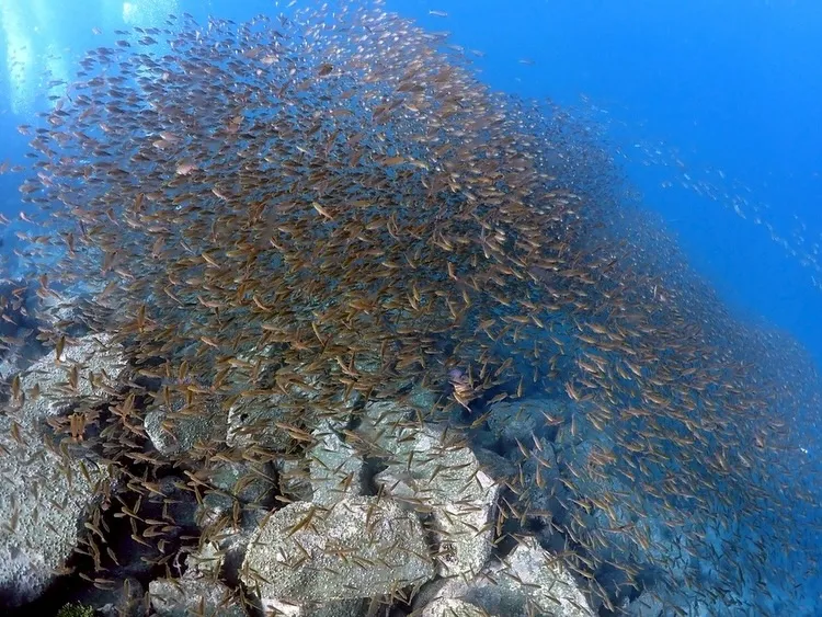 2025.12.14内浦ビーチ