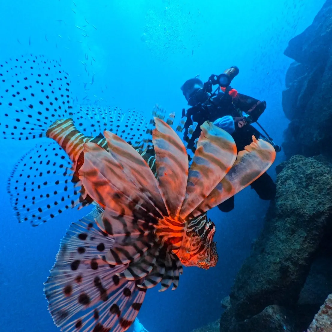 2025.12.27内浦ビーチ