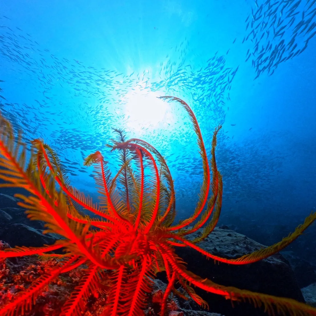 2025.12.27内浦ビーチ