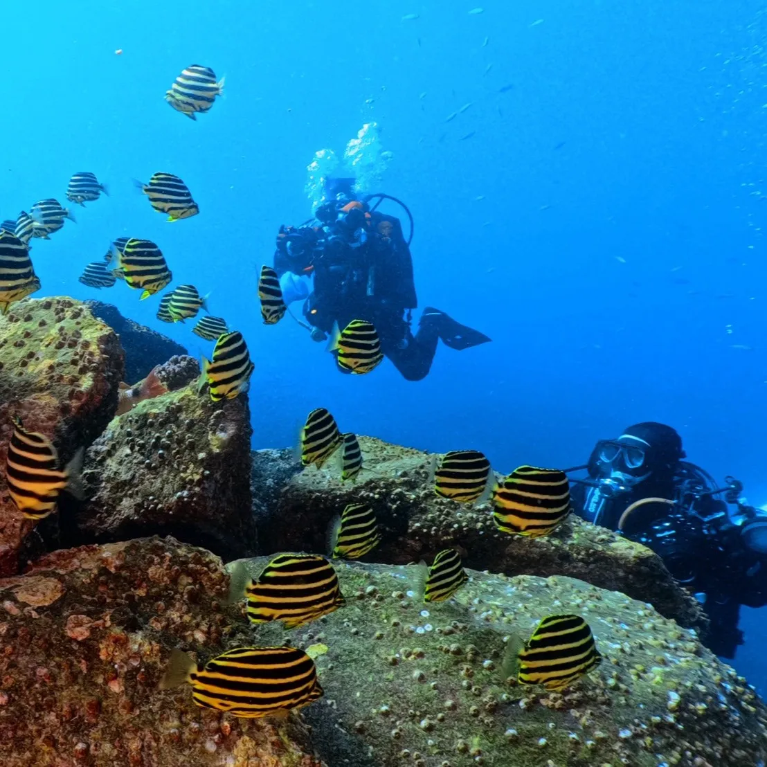 2025.12.27内浦ビーチ