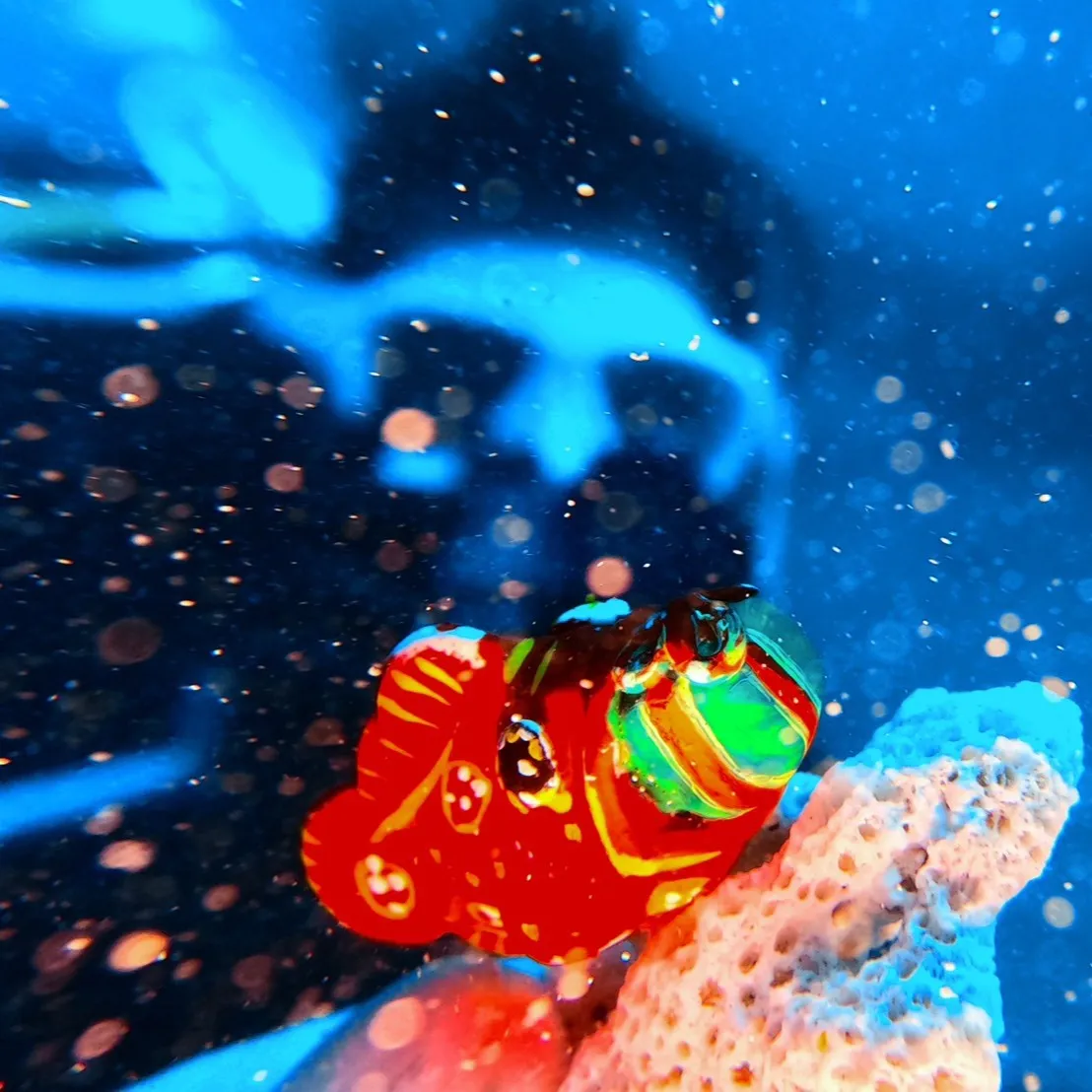 2025.12.27内浦ビーチ