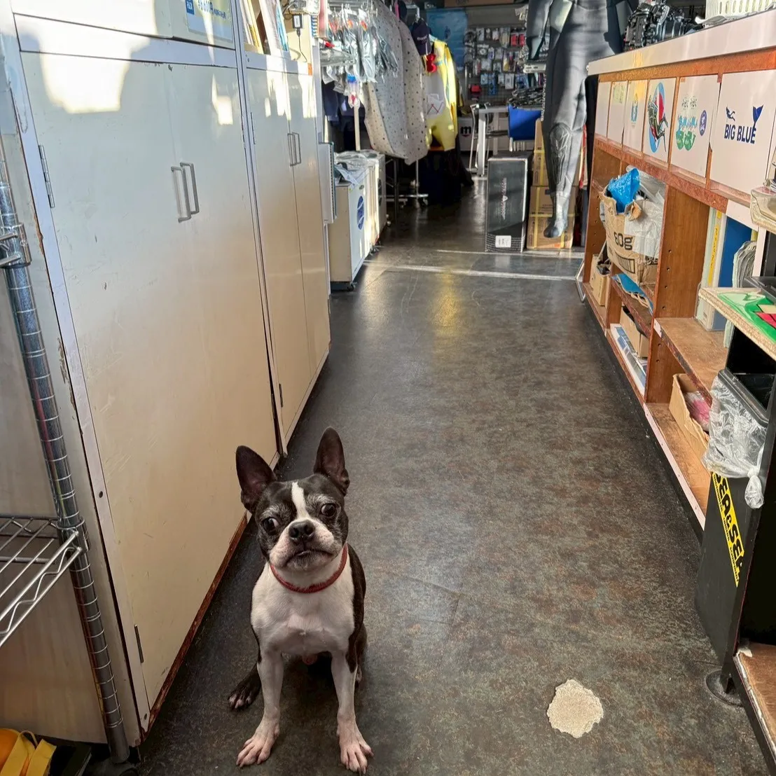 2025.12.27内浦ビーチ