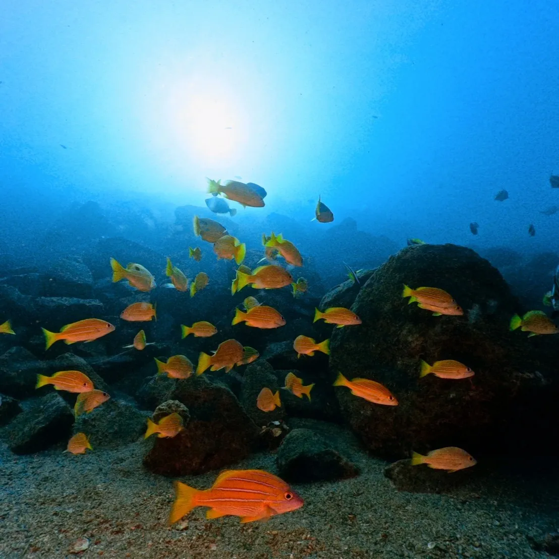 2025.12.29内浦ビーチ