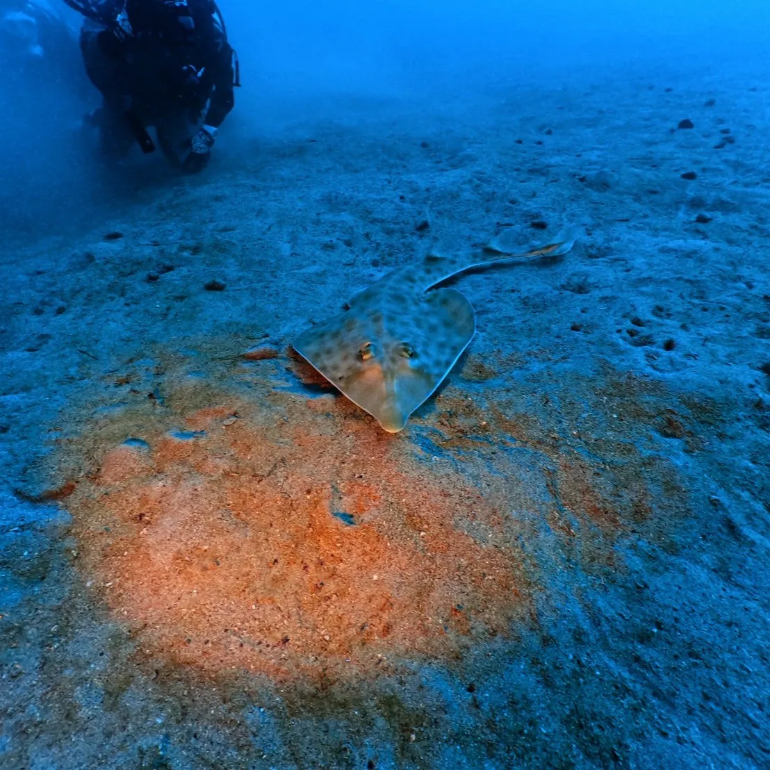 2025.12.29内浦ビーチ