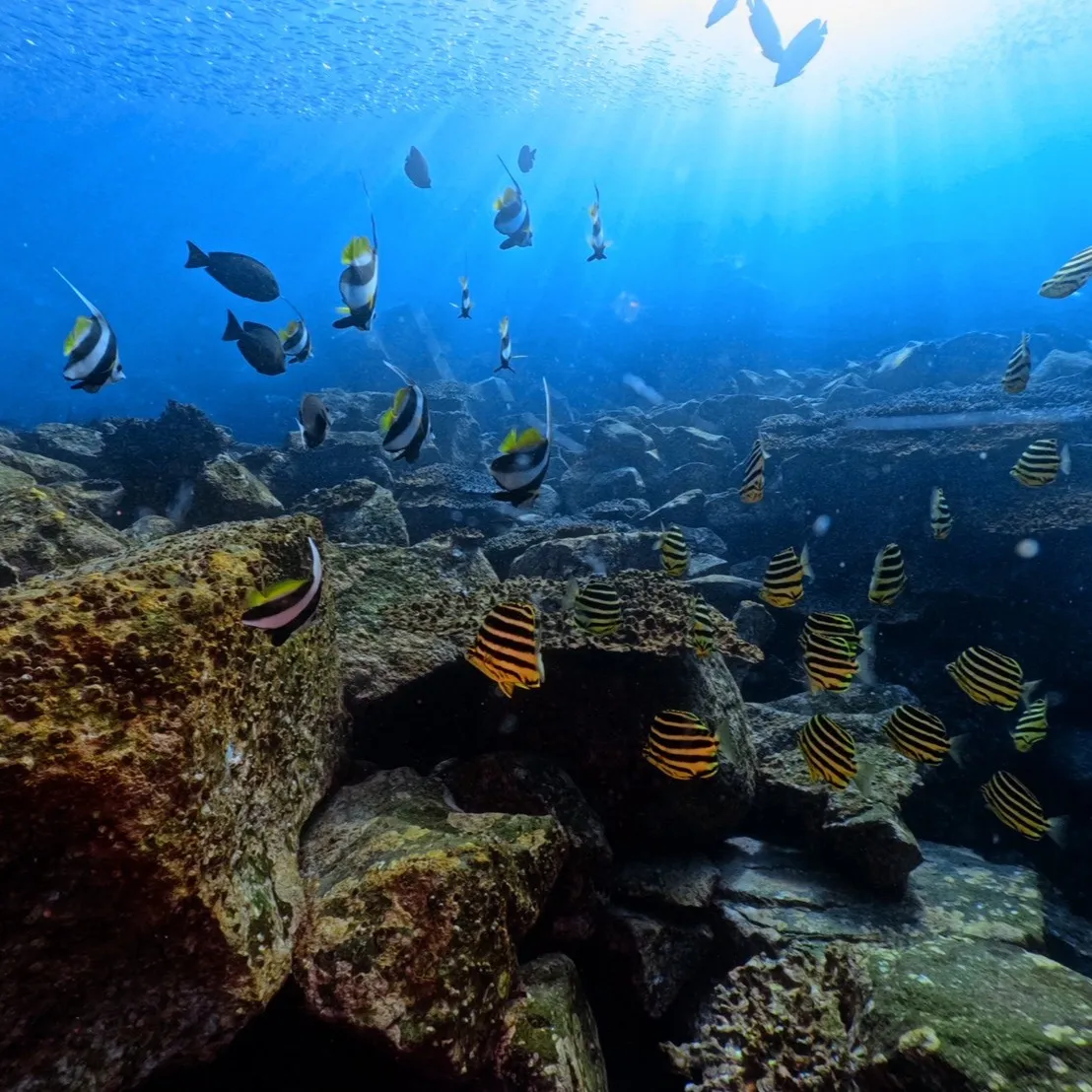 2025.12.29内浦ビーチ