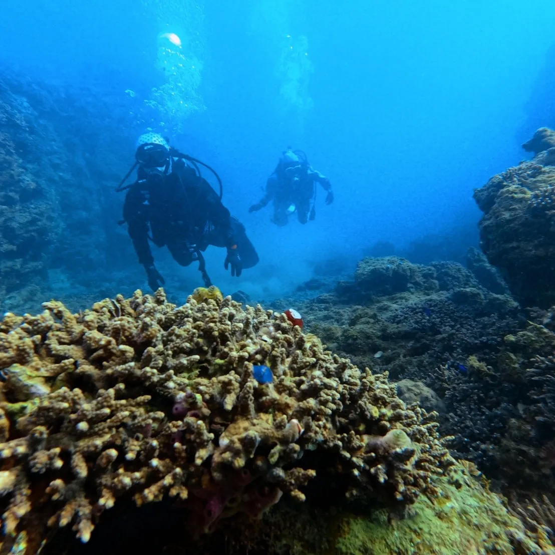 昨日と本日は日帰り田辺ビーチファンダイブでした😊１６度～１７...