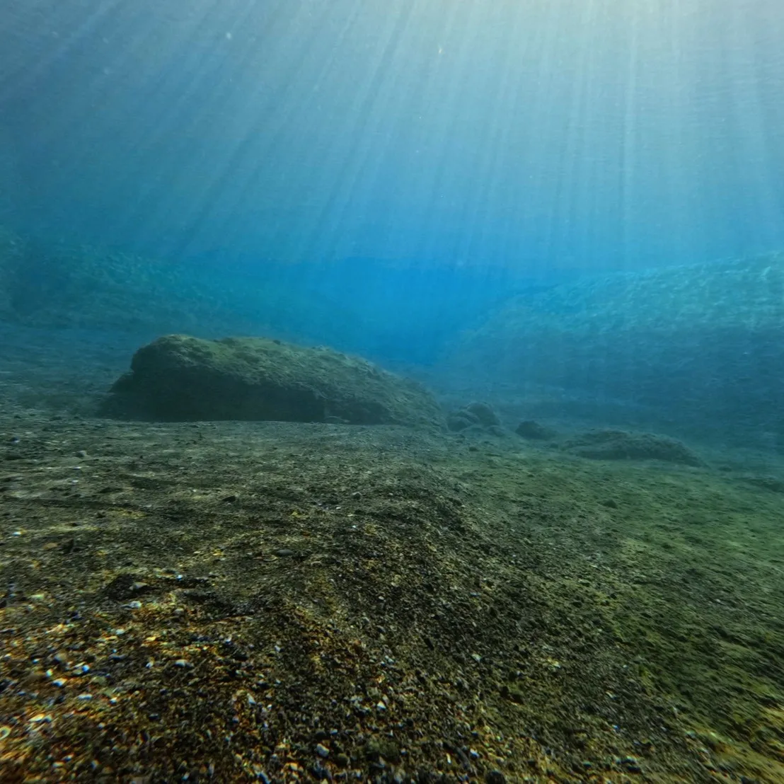 昨日と本日は日帰り田辺ビーチファンダイブでした😊１６度～１７...