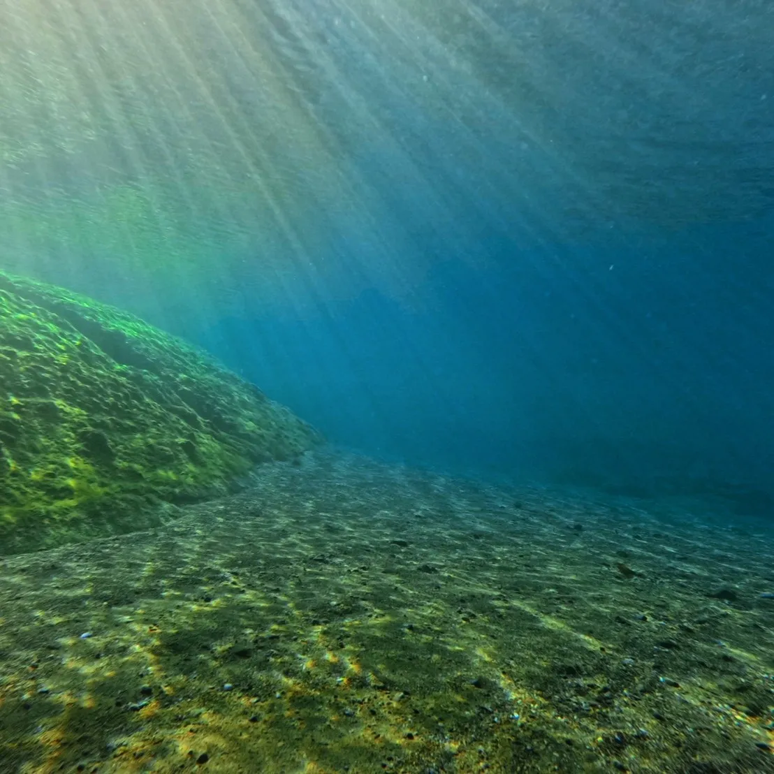 昨日と本日は日帰り田辺ビーチファンダイブでした😊１６度～１７...