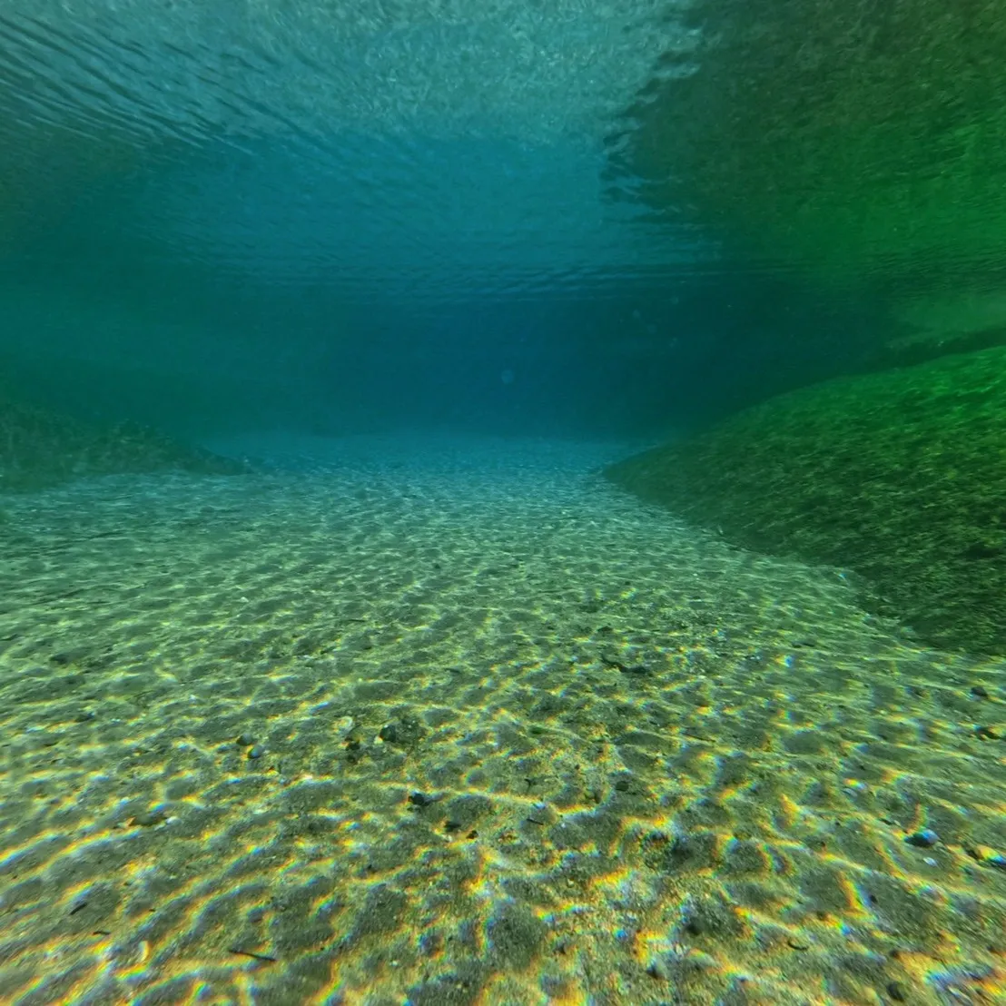 昨日と本日は日帰り田辺ビーチファンダイブでした😊１６度～１７...