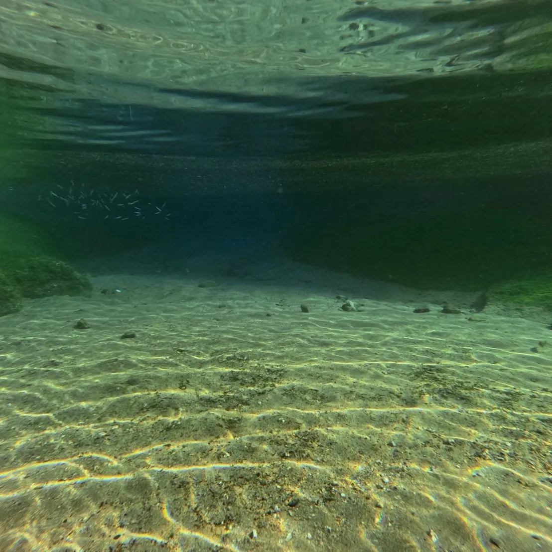 昨日と本日は日帰り田辺ビーチファンダイブでした😊１６度～１７...