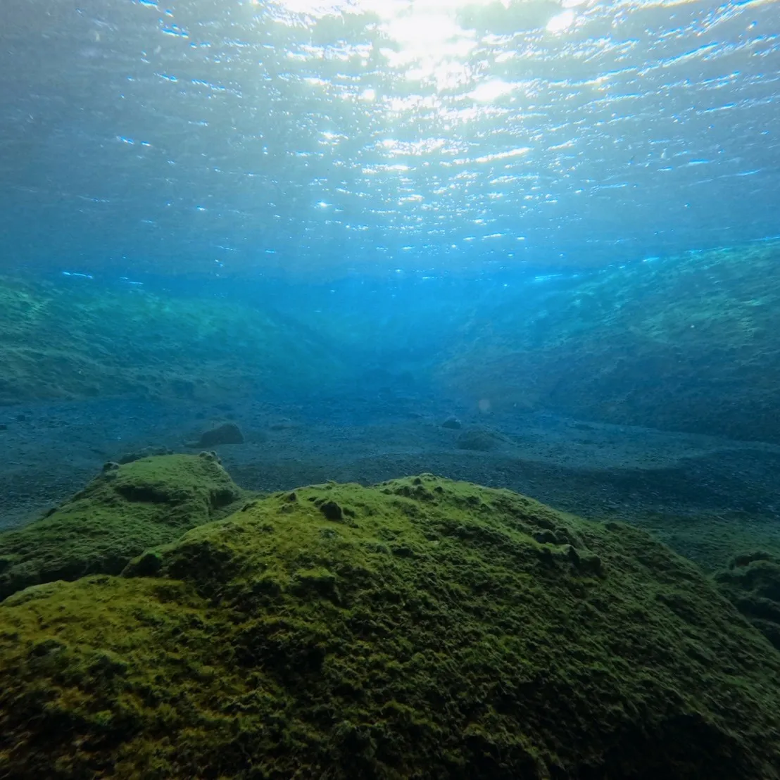 昨日と本日は日帰り田辺ビーチファンダイブでした😊１６度～１７...