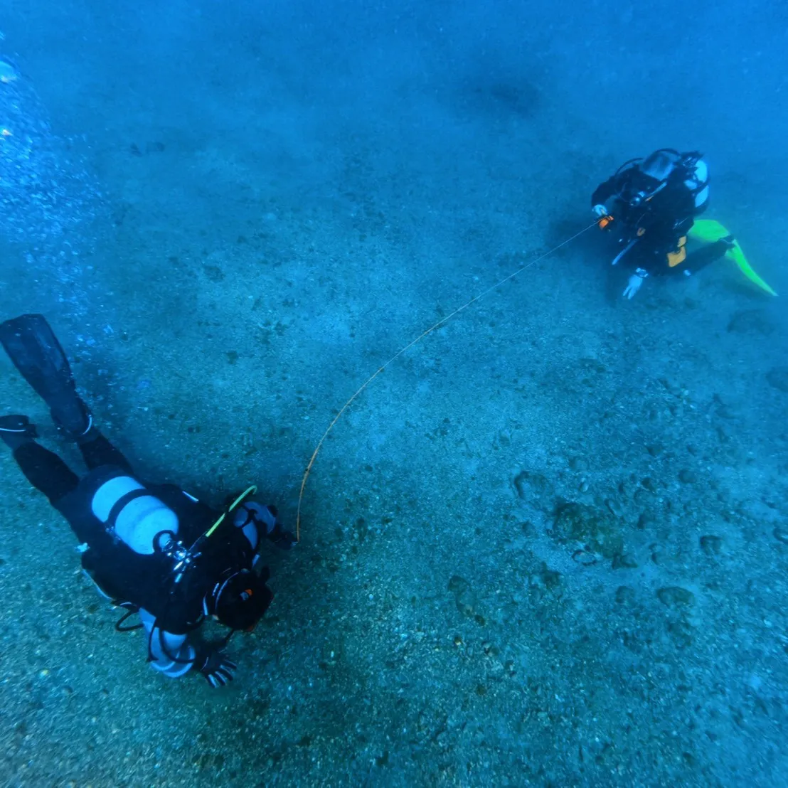 土日はポカポカ陽気の中でのレスキューダイブ🌞
