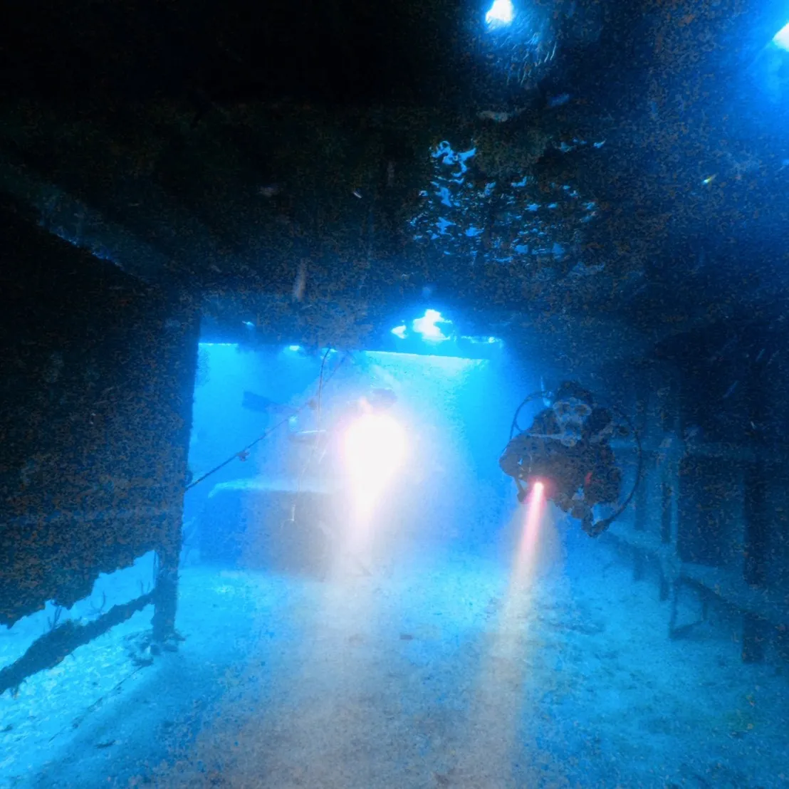 土日はポカポカ陽気の中でのレスキューダイブ🌞