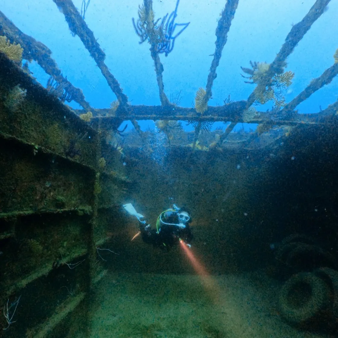 土日はポカポカ陽気の中でのレスキューダイブ🌞