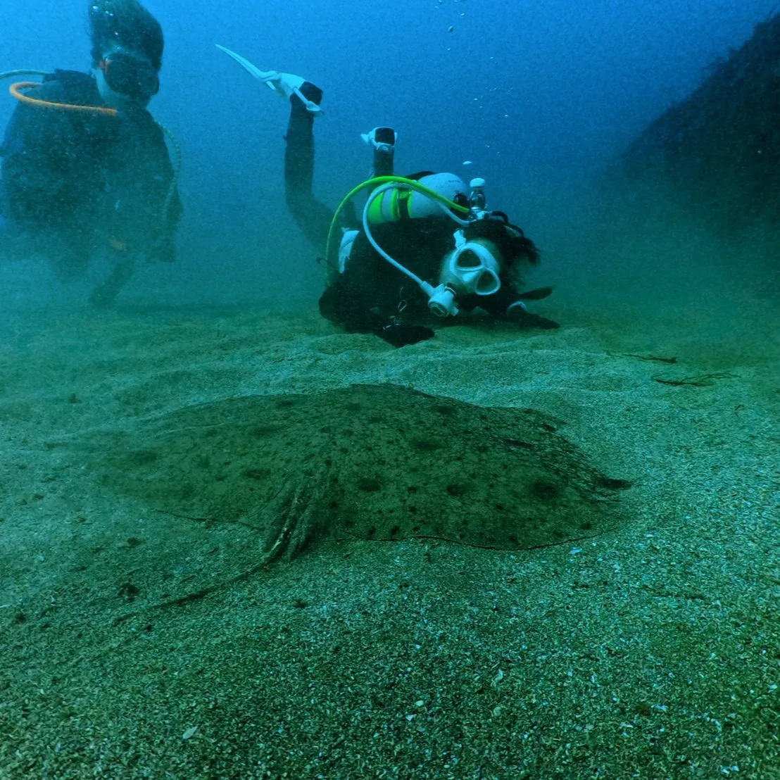 土日はポカポカ陽気の中でのレスキューダイブ🌞
