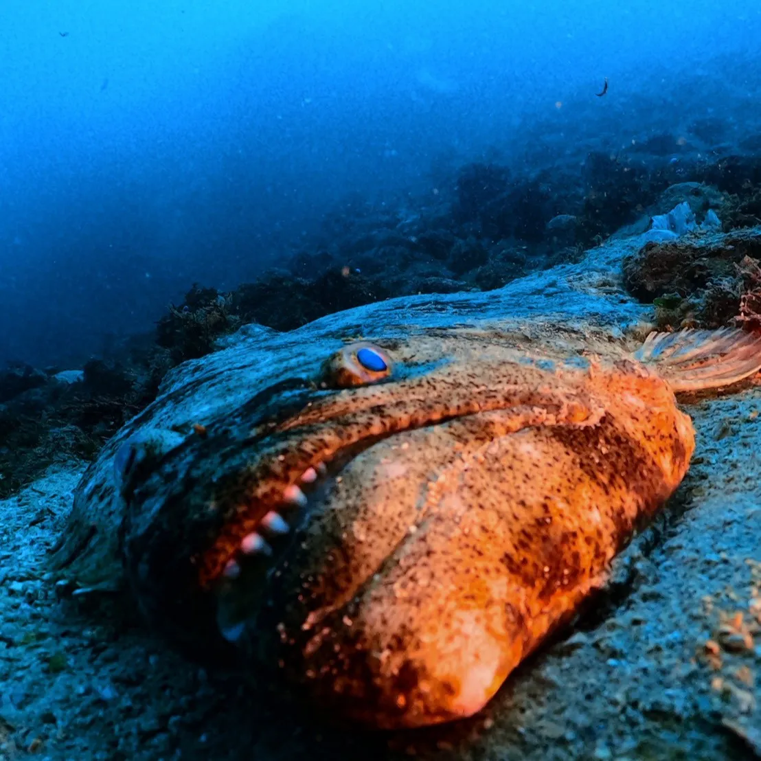 2026.1.19-20内浦ビーチ