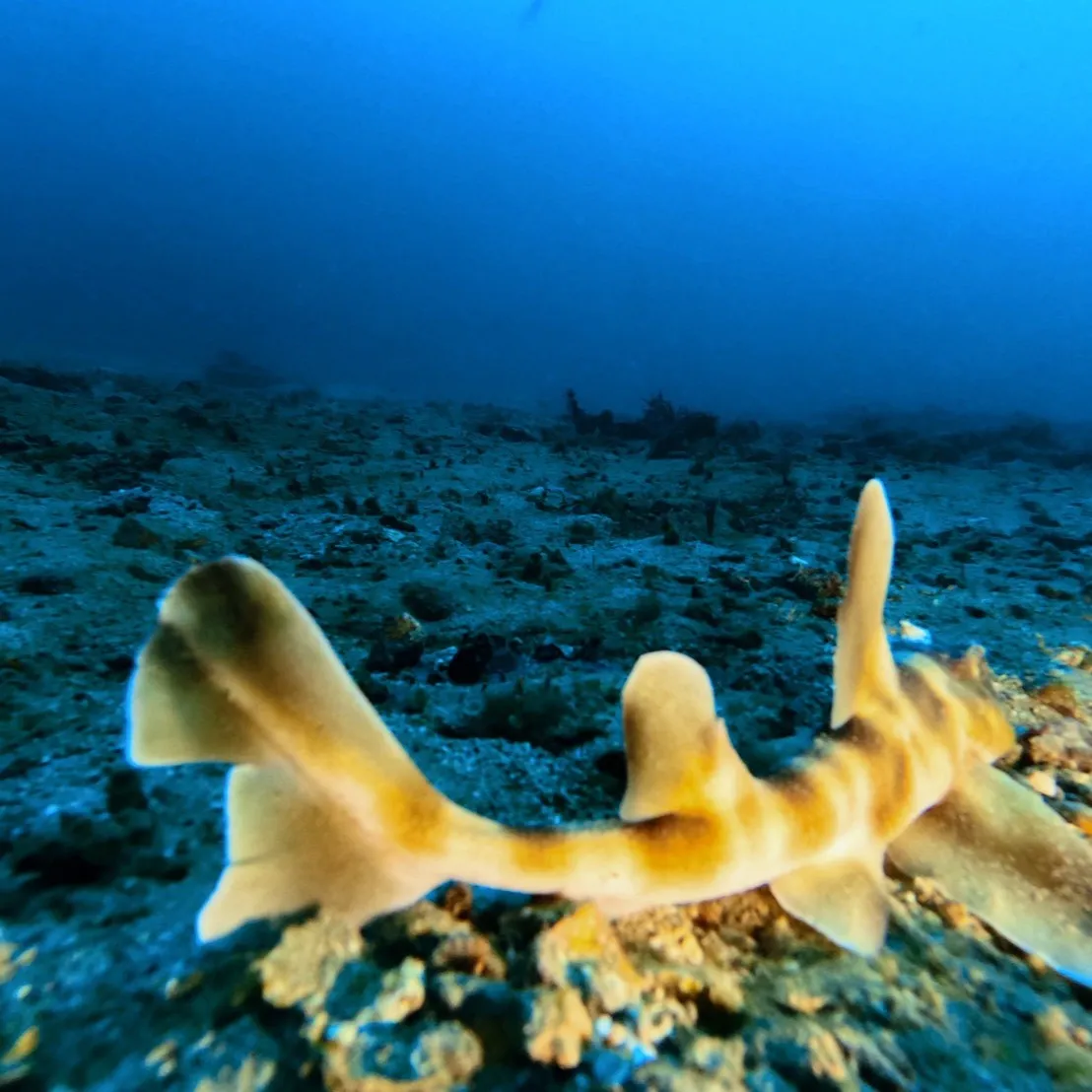 2026.1.19-20内浦ビーチ