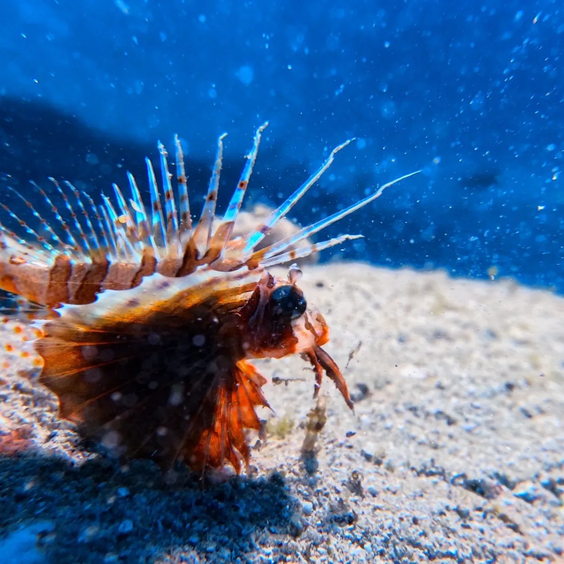 2026.1.19-20内浦ビーチ