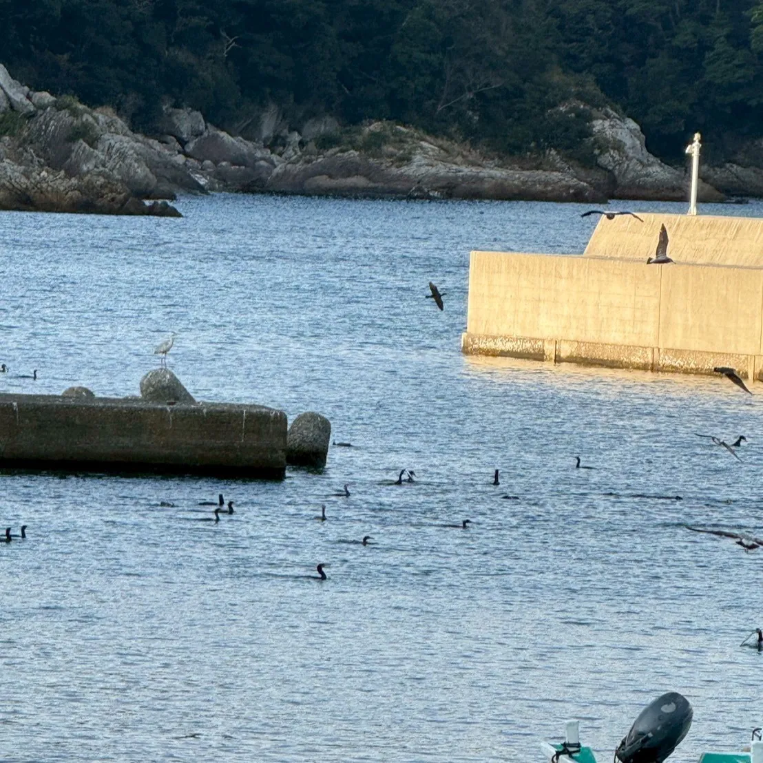 2026.1.19-20内浦ビーチ