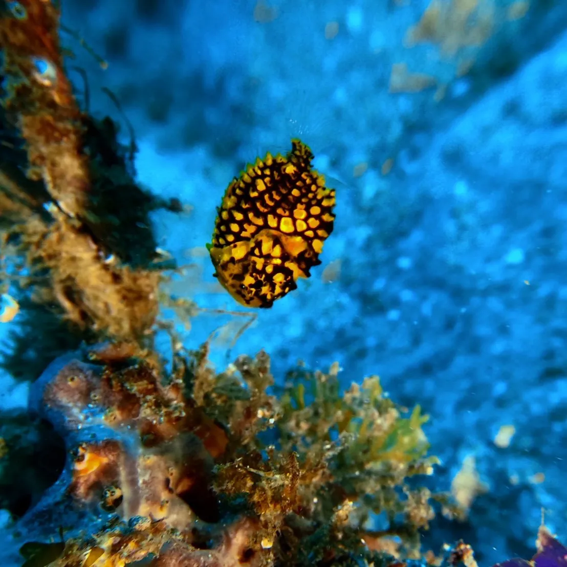 2026.1.19-20内浦ビーチ