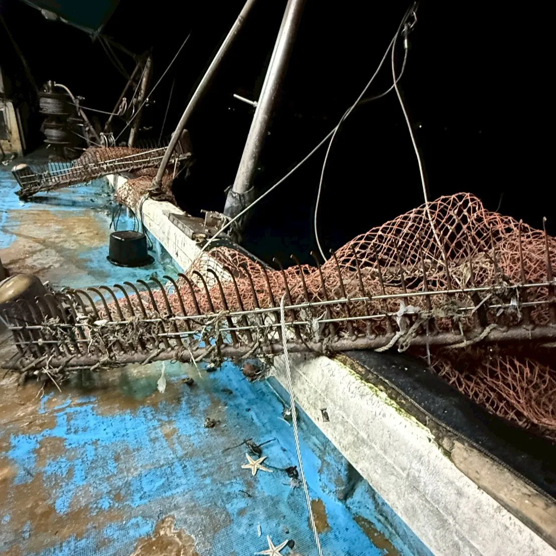 本日は平石マネージャーが時々漁師になる日🐳週末の新年会には色...