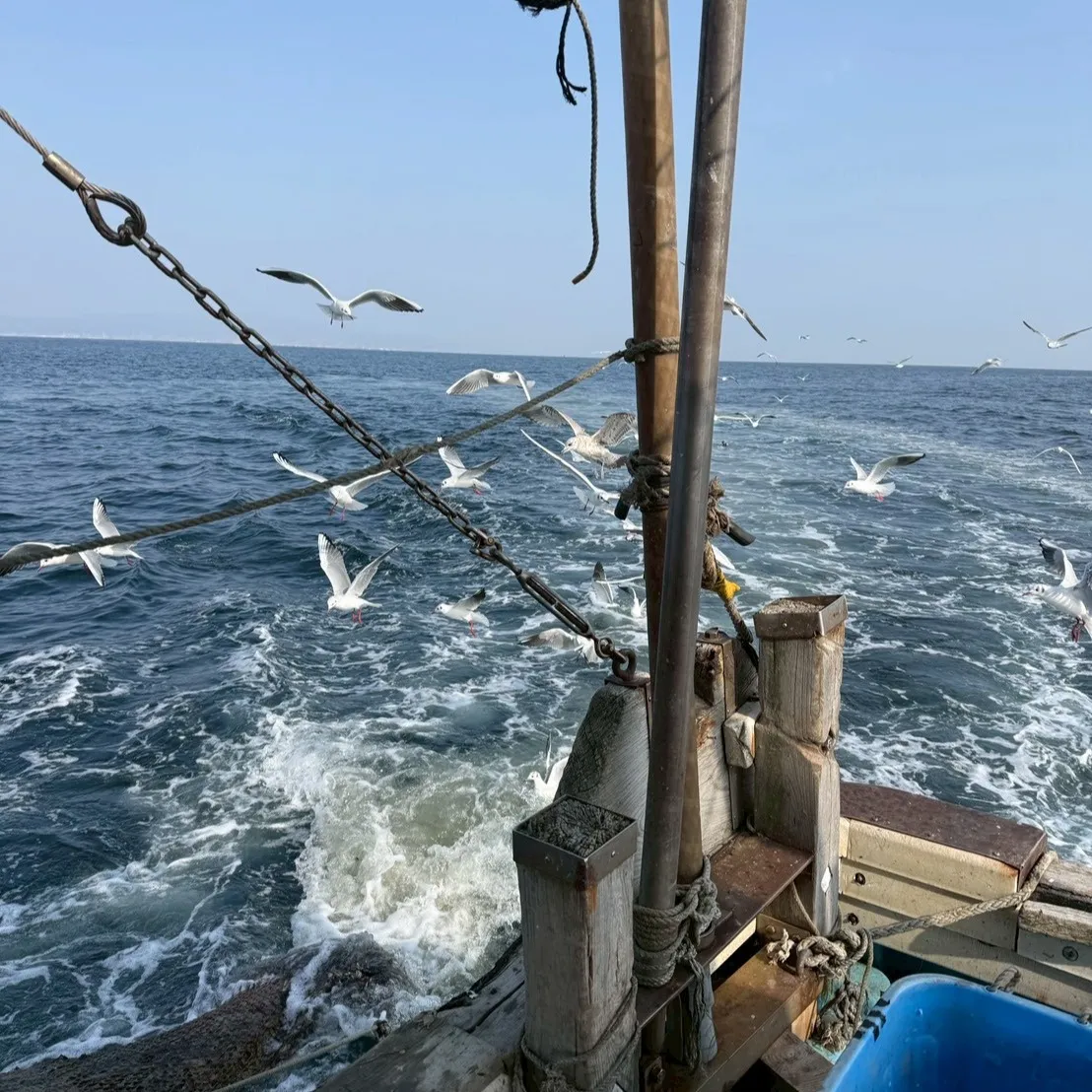 本日は平石マネージャーが時々漁師になる日🐳週末の新年会には色...