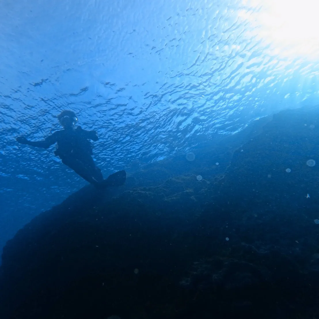 本日は田辺天神崎ダイビング気温が5度水温が😊海洋ダイブ二日目...