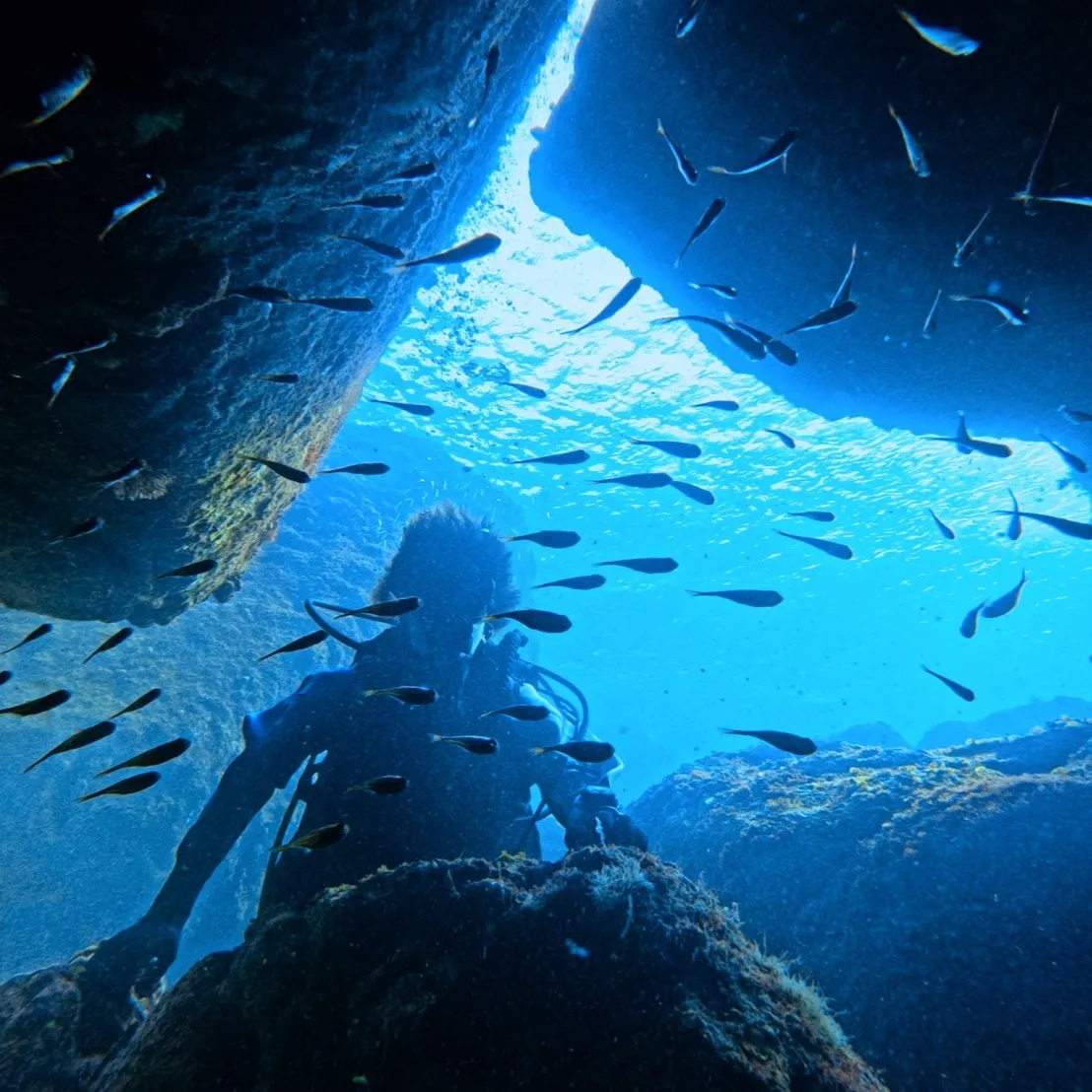 本日は田辺天神崎ダイビング気温が5度水温が😊海洋ダイブ二日目...